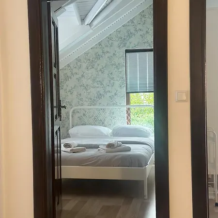 Luxury Big In With Pool Skmaxx Sapanca