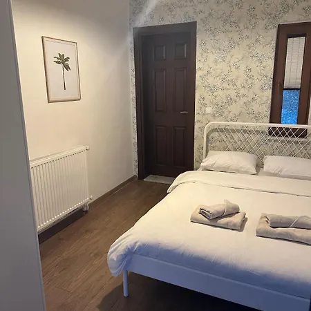 Luxury Big In With Pool Skmaxx Villa Sapanca