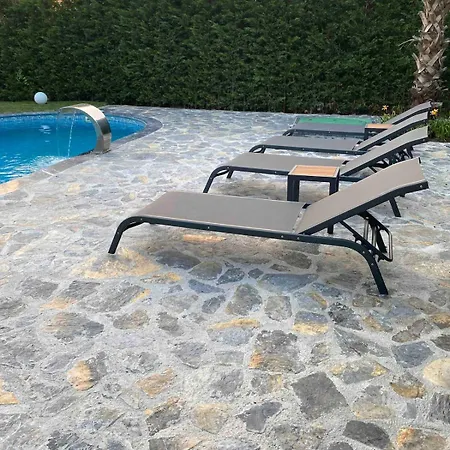 Villa Luxury Big In With Pool Skmaxx