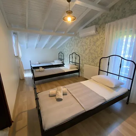 Villa Luxury Big In With Pool Skmaxx Sapanca