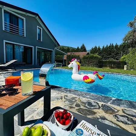 Villa Luxury Big In With Pool Skmaxx Sapanca