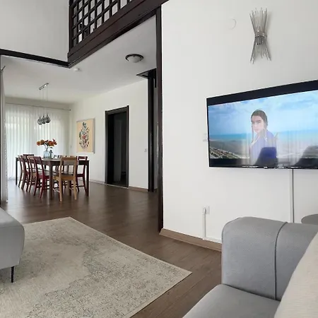 Luxury Big In With Pool Skmaxx Villa Sapanca