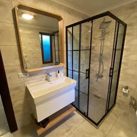 Luxury Big In With Pool Skmaxx Villa Sapanca