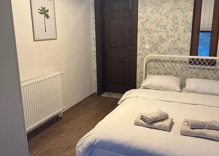 Luxury Big In With Pool Skmaxx Villa Sapanca