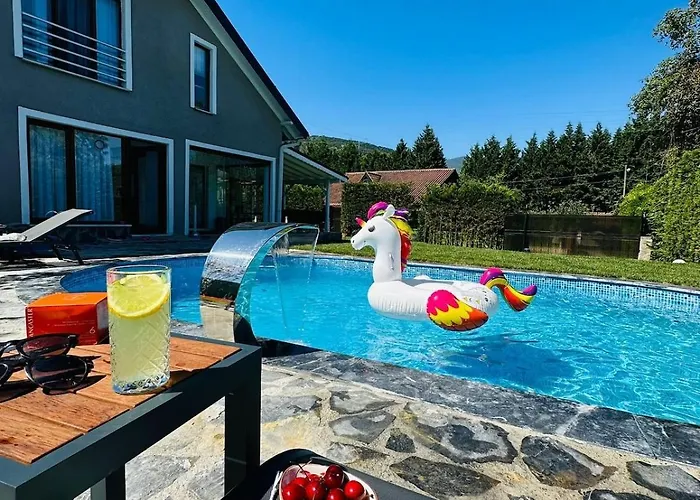 Villa Luxury Big In With Pool Skmaxx Sapanca